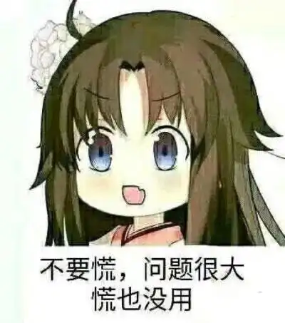 布鲁克表情包当上