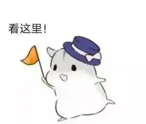 雅思口语考官真的在乎你用英音还是美音吗