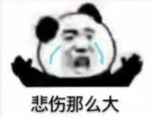 程序员退休年龄csdn