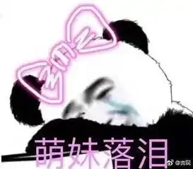 为什么程序员女生找个同行的男朋友也这么不容易呢