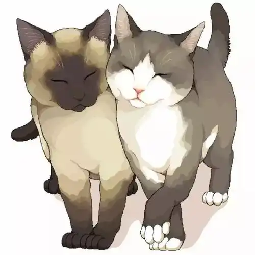 猫猫拟人可爱动漫头像