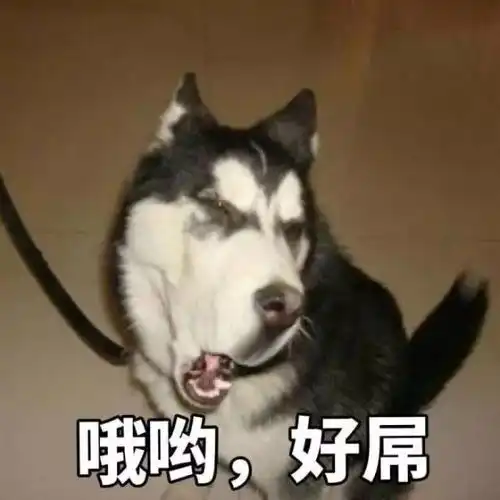 为我大动科疯狂打call