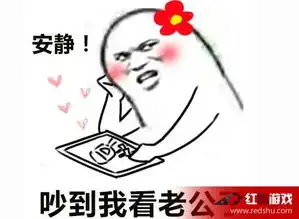 安静吵到我fgo是什么梗是什么含义安静吵到我fgo含义讲解