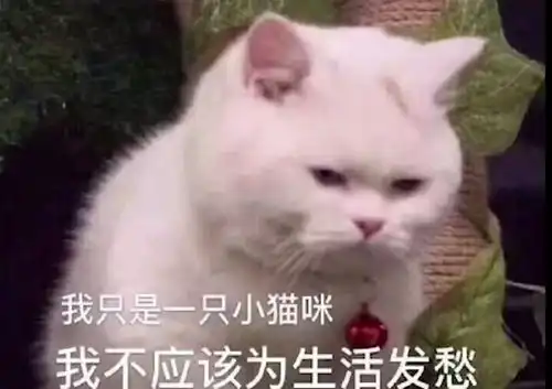 快乐表情包2022年新年