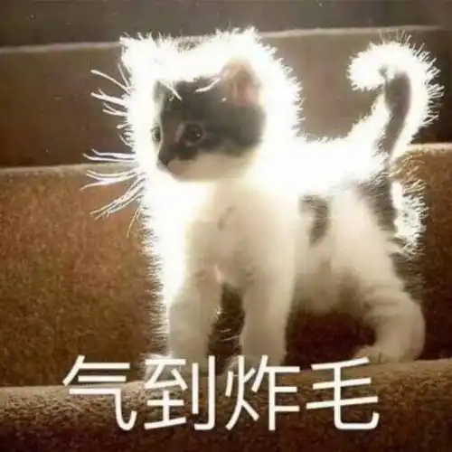如果不拉皮,她的脸还能再战30年
