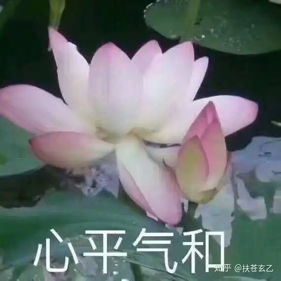 重开龙支付
