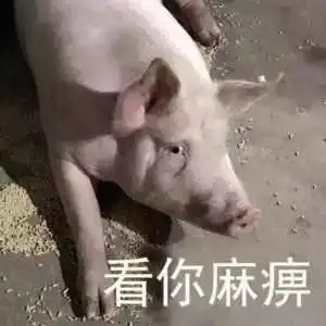 聊天斗图表情包精选