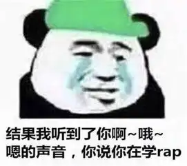 表情包你老婆去做头发了而且她还去学了说唱