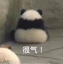 偷看熊猫表情包