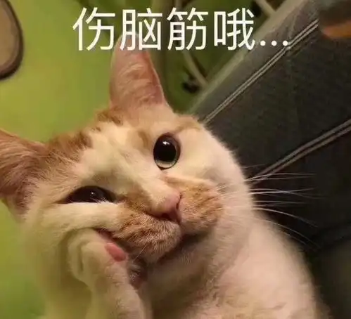 nononono猫表情包小猫咪