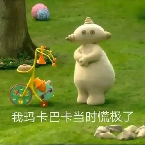 洲崎西滑稽表情包gif花