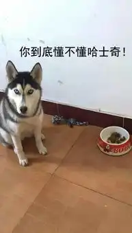 表情管理很重要啊喂