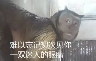 瘦骨嶙峋表情包张竟