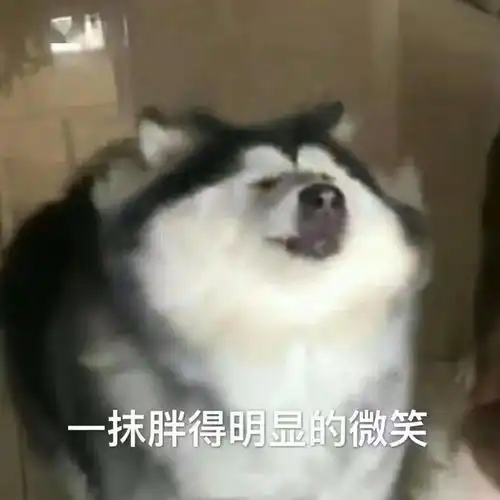 沙雕表情包