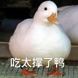 带我玩鸭鸭鸭图片刚下班鸭可爱鸭鸭表情包下载乐游网游戏下载