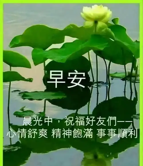 匆匆岁月,真情相伴,朋友,愿你笑看人生,一路幸福,早上好生活