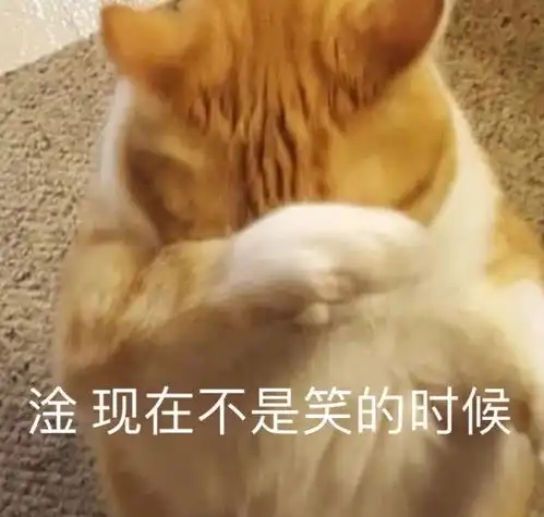 沙雕表情包l就很离谱