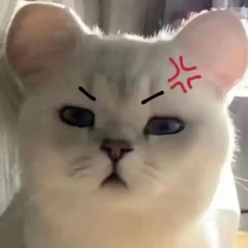 猫猫也要做核酸