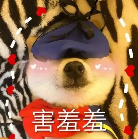 今日份搞笑表情包