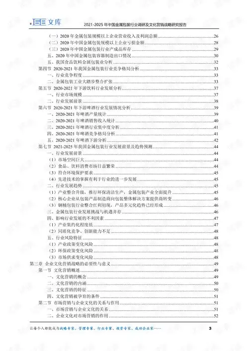 20212025年中国金属包装行业调研及文化营销战略研究报告.pdf