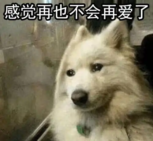 红尘表情包让你们爱啊爱地去酸去吧,我一个狗保持清香就行