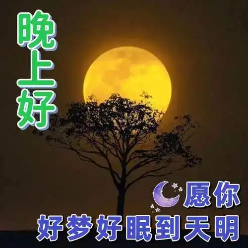 问候表情包小暑晚上好