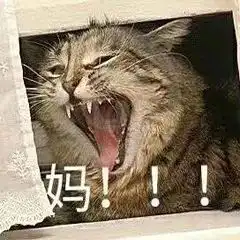 这个寒假你长肉吗总第1039期