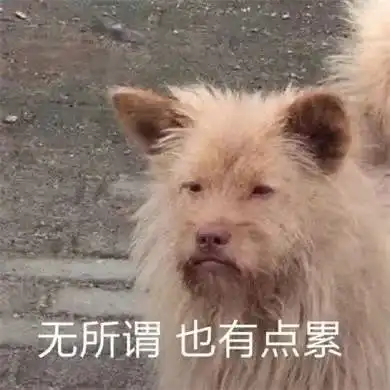 宁波看过来