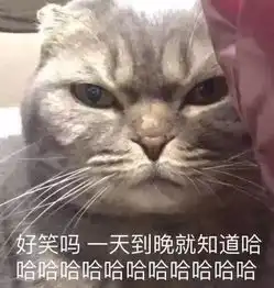 炸毛表情包图片头像