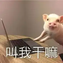 一顿乱亲表情包猪猪