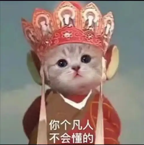 猫猫表情包gif,猫猫表情包可爱