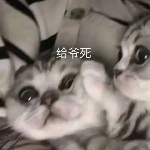 表情包图片谈恋爱找我,找别人算什么本事