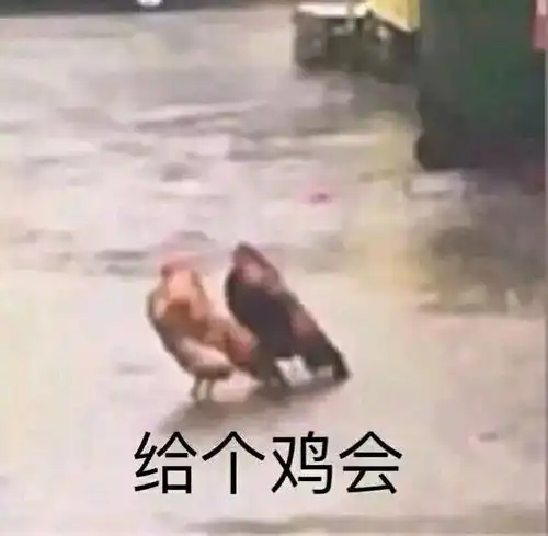 你就知道欺负我,小委屈表情包图片
