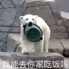 表情包沙雕表情包708期