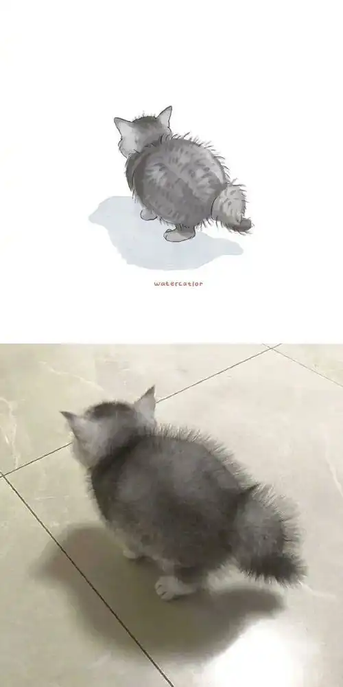 当一些沙雕猫咪被画成了漫画之后