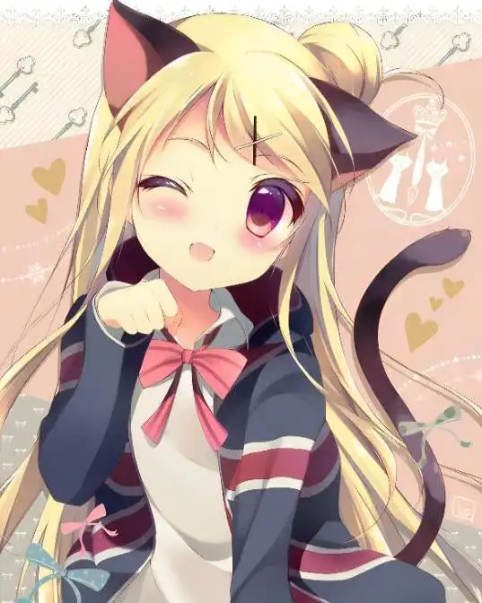 v社