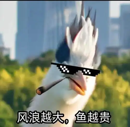 又帅又可爱鹭憨憨爆笑表情包拿走不谢