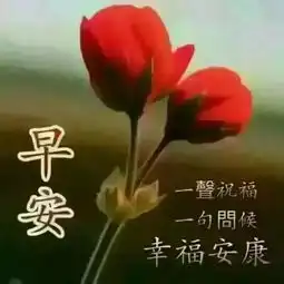 早上好问候动态图片早安祝福语大全