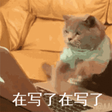 老铁们,节日快乐呀记者专用表情包请查收