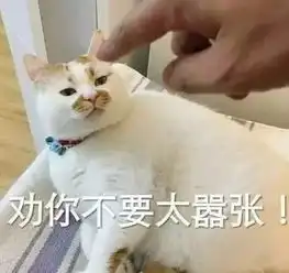 嚣张儋州西部海鲜城多间商铺连续遭窃,盗贼得手后还对监控做胜利手势挑衅