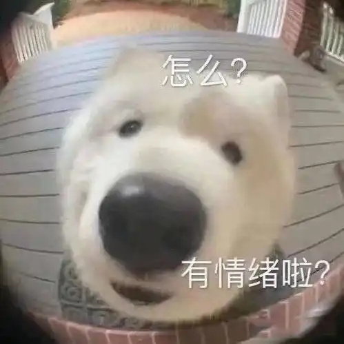 有没有傻憨疑惑的狗子表情包