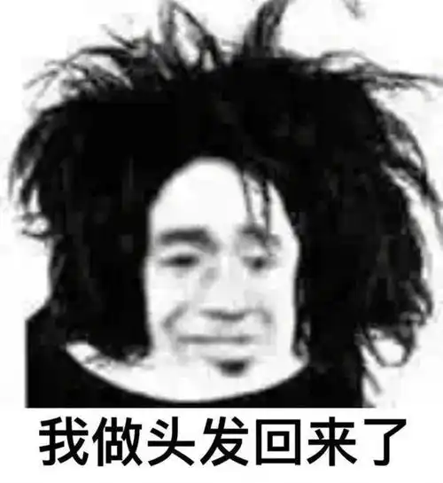 烦躁抓头发表情包刘海