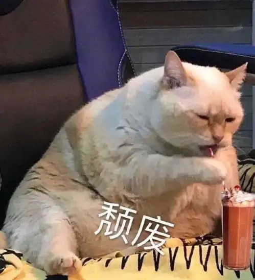 表情萌猫表情包我不是你的小可爱了吗再不理我就哭给你看表情