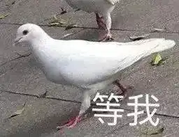 一不小心就...鸽了...丨暑期晨读vol.19