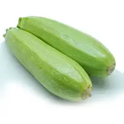 蔬菜瓜类有几种图片