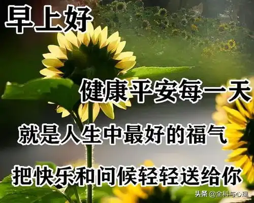 过去再优美,我们不能住进去