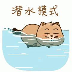 什么在澳洲你居然还没有拿到这些轻松到手的证书那你就out了快考取它们打开新世界的大门吧