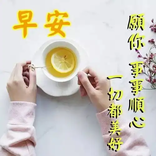 早上好全新的祝福动画表情包新的一天开始的早安问好祝福短信配图片
