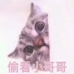 像我这样的女子