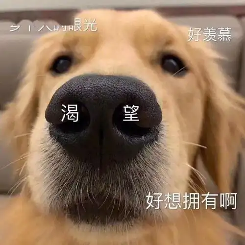 千万别买这种马丁靴显矮显腿粗